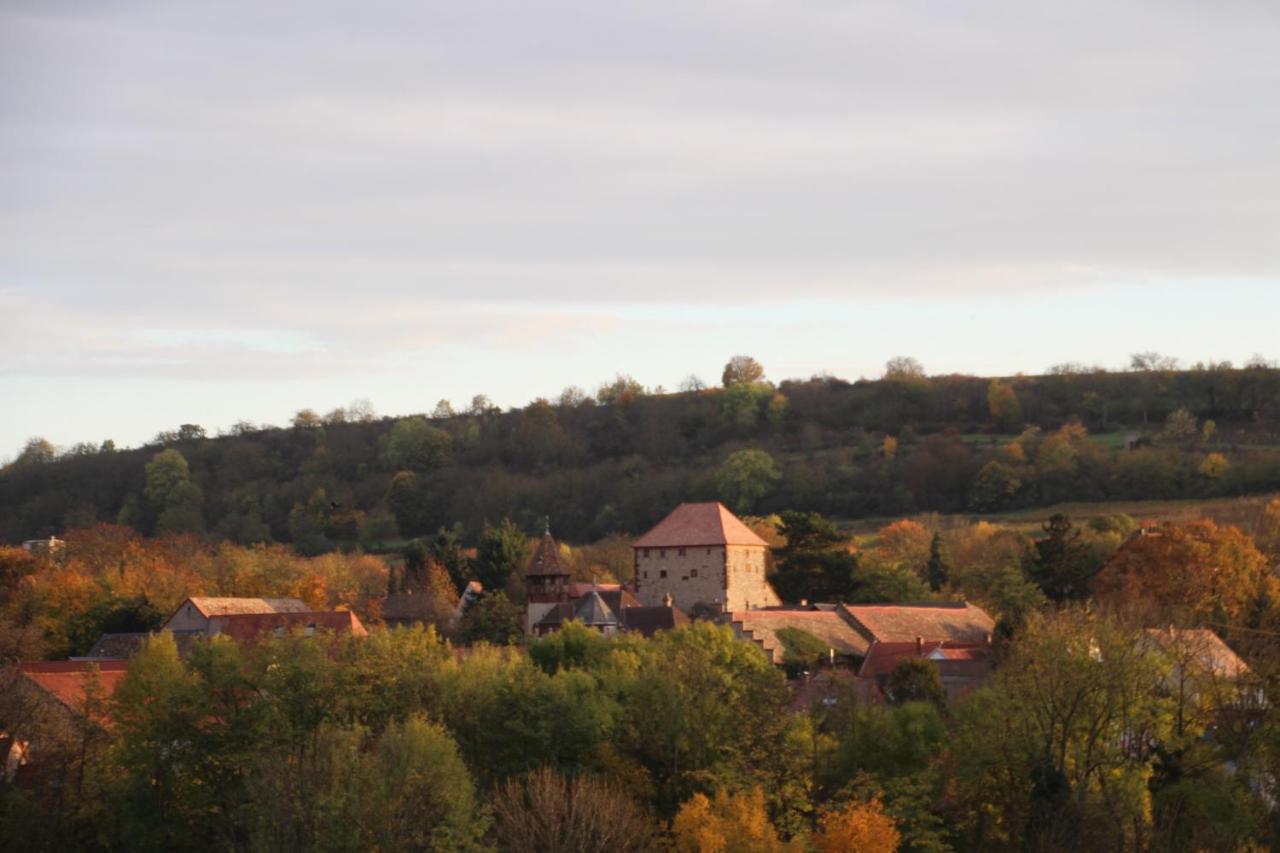 Ferienwohnung Im Schoenen Zellertal Wachenheim an der Weinstraße Exterior foto