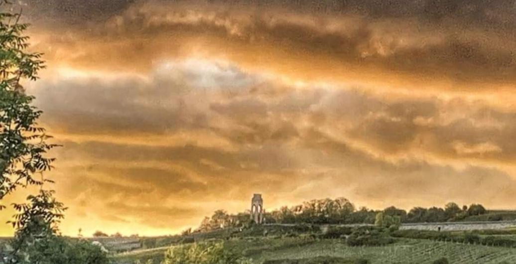 Ferienwohnung Im Schoenen Zellertal Wachenheim an der Weinstraße Exterior foto